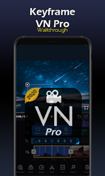 Image 0 for Pro VN -New  Walktrough M…