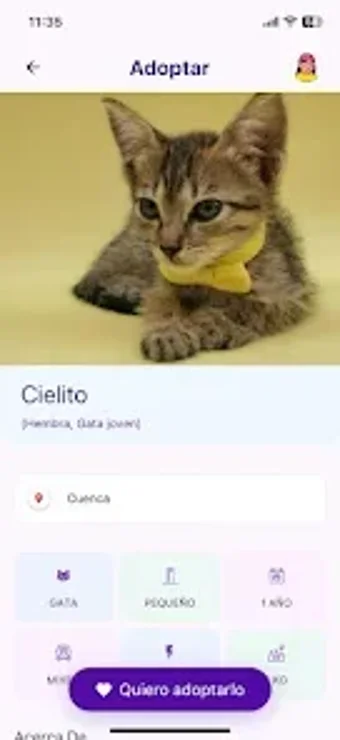 Image 0 for Alerta Patitas