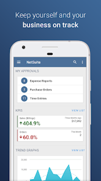 Image 2 for NetSuite