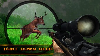 Image 1 for English Safari Hunting in…