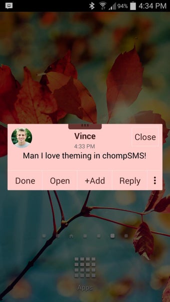 Imagen 0 para Cookie Theme (chomp)