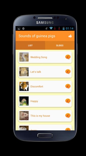 Image 0 for Sounds of guinea pigs