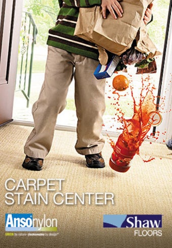 Image 0 for Shaw Floors Carpet Stain …