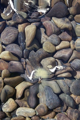 Image 0 for Fluid 2