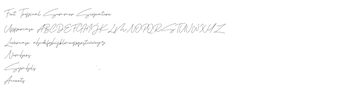 Image 0 for Tropical Summer Signature