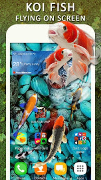 Imagen 0 para Koi Water Pond Fish Live …