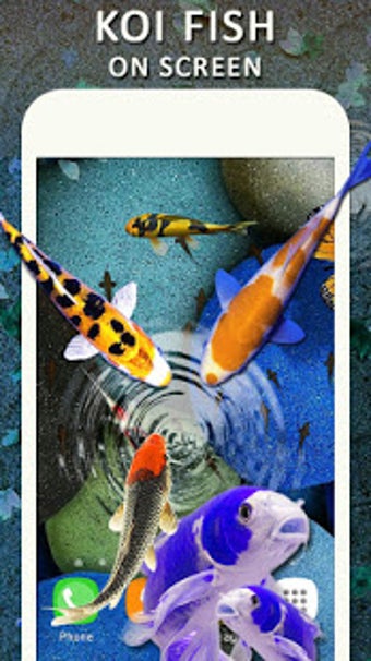 Imagen 1 para Koi Water Pond Fish Live …