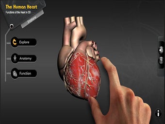 Image 5 for Explore the Heart in 3d