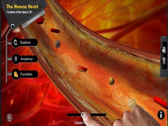 Image 1 for Explore the Heart in 3d