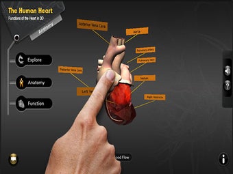 Image 4 for Explore the Heart in 3d