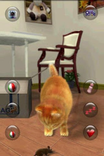 Image 0 for Talking Lovely Cat