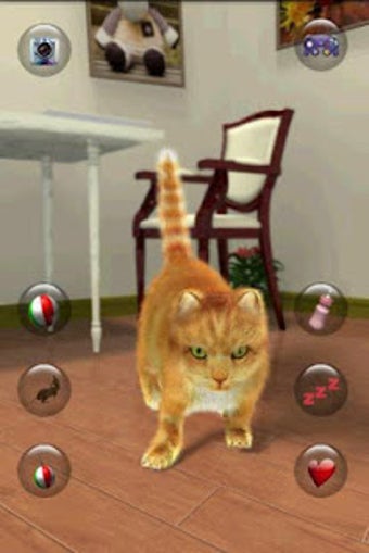 Image 2 for Talking Lovely Cat