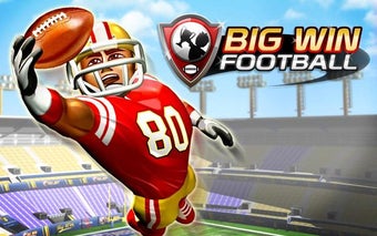 Imagen 1 para Big Win Football 2015
