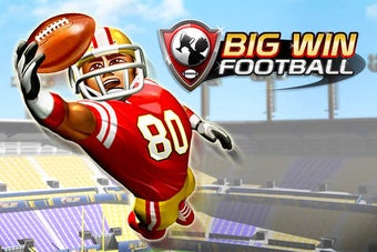 Image 0 for Big Win Football 2016