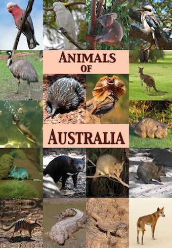Image 0 for Animals Of Australia