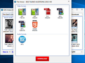Imagen 2 para EDS Video Downloader