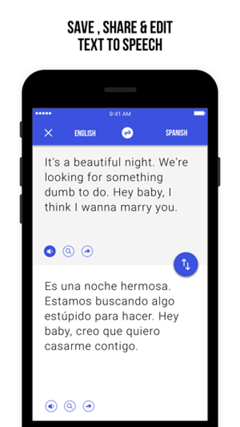 Safari Translate Extension - Website & Text Captures 1