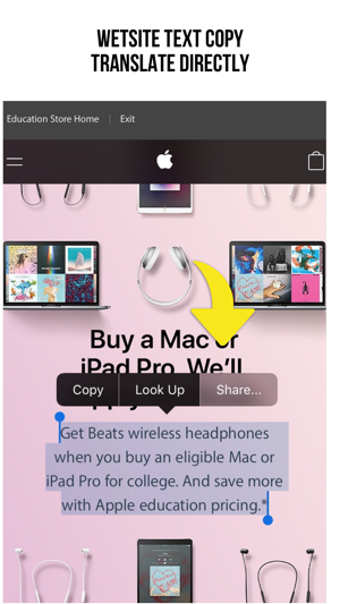 Safari Translate Extension - Website & Text Captures 2