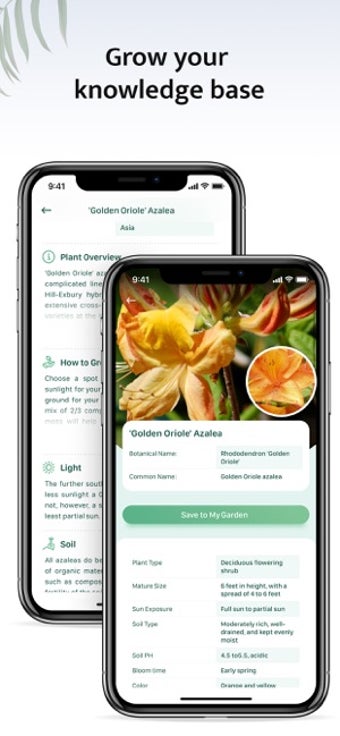 Image 2 for Blossom - Plant Identific…