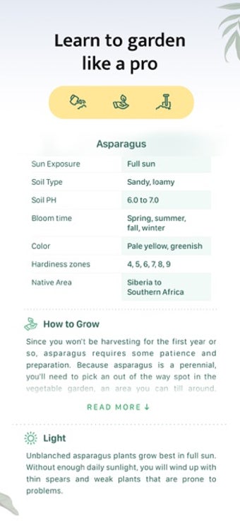 Image 0 for Blossom - Plant Identific…