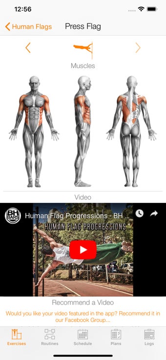 Image 0 for Calisthenics Mastery