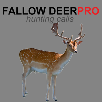 Imagen 0 para Fallow Deer Calls AU