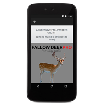 Imagen 2 para Fallow Deer Calls AU