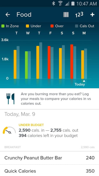 Image 5 for Fitbit