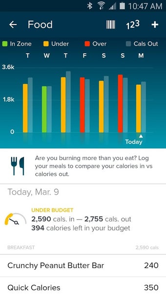 Image 1 for Fitbit