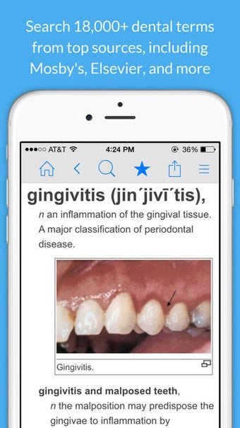 Image 2 for Dental Dictionary - Denti…