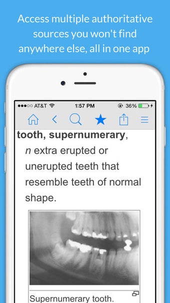 Image 3 for Dental Dictionary - Denti…