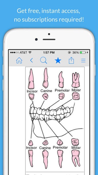 Image 0 for Dental Dictionary - Denti…