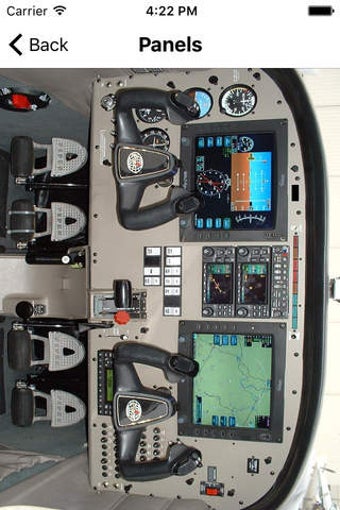 Image 0 for Piper Warrior Study Cards