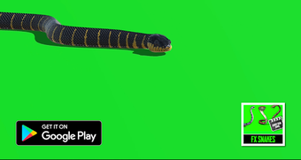 Image 0 for FX Snakes for Naagini Sho…