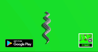 Image 1 for FX Snakes for Naagini Sho…