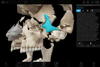 Imagen 2 para Human Anatomy Atlas 2018:…