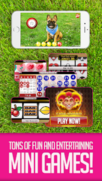 Image 2 for Boom Bingo - Play LIVE BI…