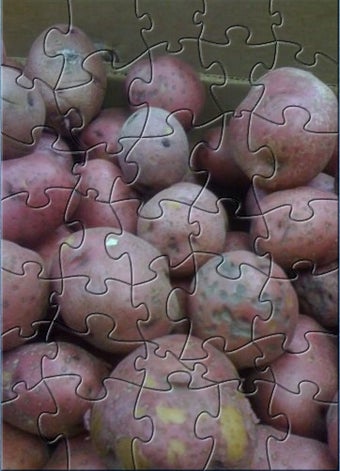 Imagen 0 para TSP Hot Potato Puzzle