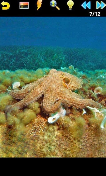 Imagen 1 para Ocean Puzzle