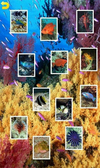Imagen 2 para Ocean Puzzle