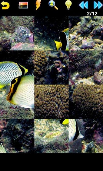Imagen 3 para Ocean Puzzle