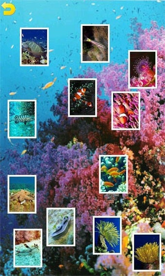 Imagen 0 para Ocean Puzzle