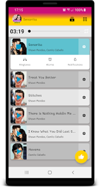 Image 1 for Senorita Shawn Mendes son…