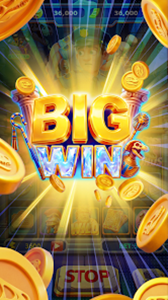Image 0 for Nexus Spinner
