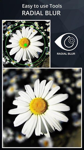 Image 2 for DSLR Camera Blur Effects