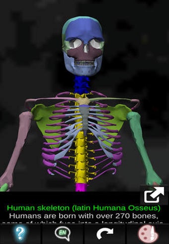 Image 0 for Bones 3D (Anatomy)