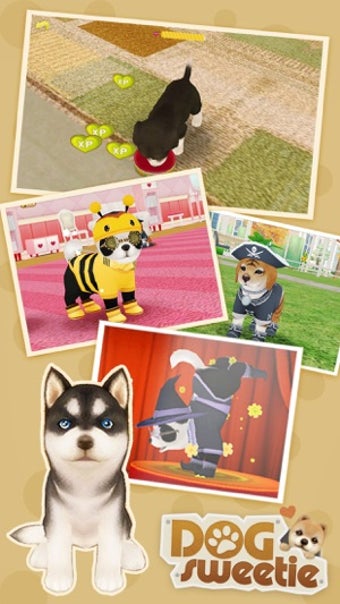 Image 3 for Dog Sweetie