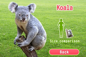 Imagen 5 para Animal pictorial book fre…