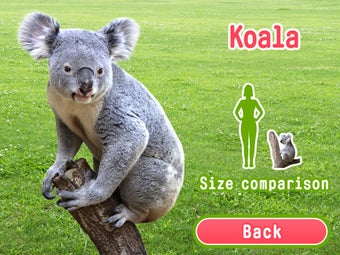 Imagen 2 para Animal pictorial book fre…