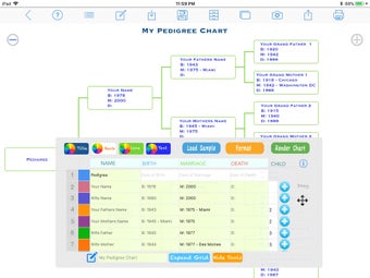 Image 1 for Pedigree Chart Maker